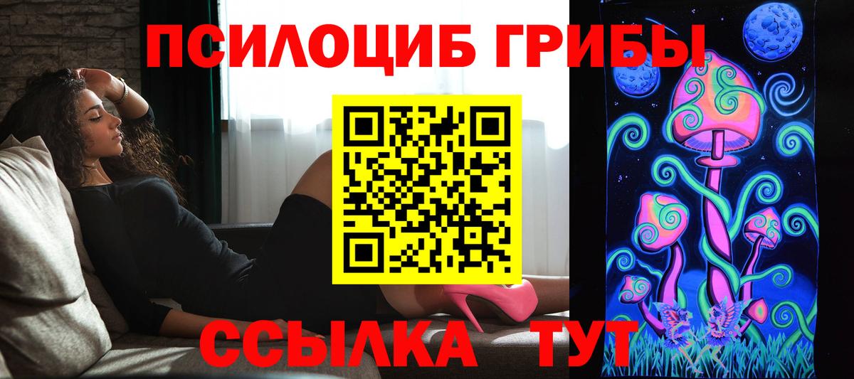 Псилоцибиновые грибы MAGIC MUSHROOMS Тара