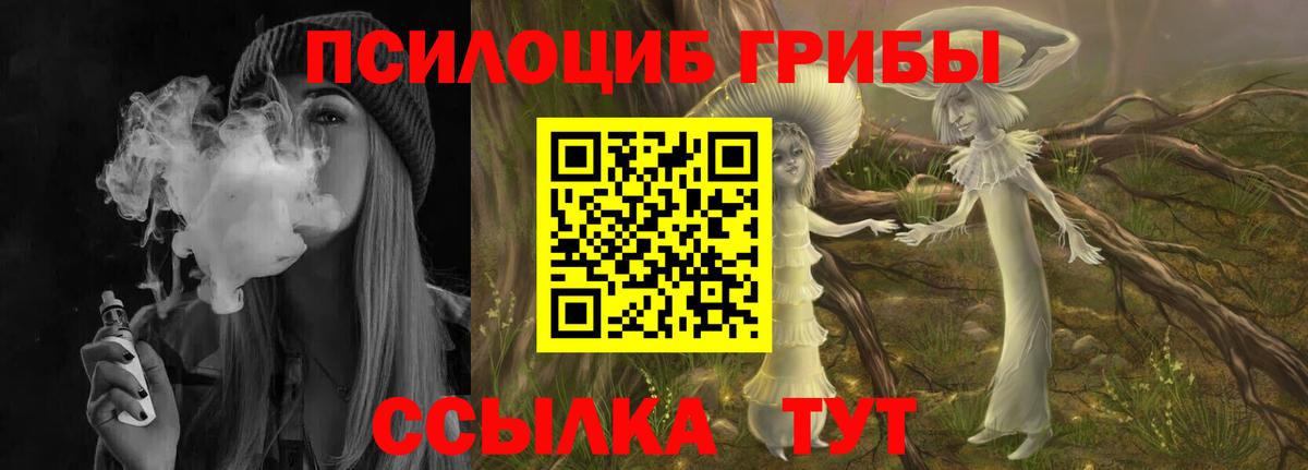 Псилоцибиновые грибы GOLDEN TEACHER  Вход с VPN  Галлюциногенные грибы Cubensis  Тара 